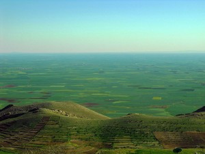 Ekili tarım alanları, Güney Mardin