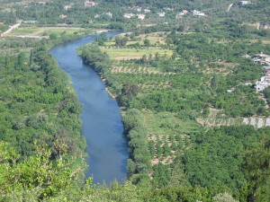 Asi Nehri