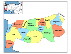 Aydın_districts