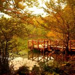 Yedigöller Milli Parkı Bolu Yedigöller Milli Parkı Türkiye’nin en güzel ve en büyük milli parkı